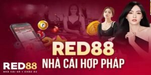 RED88 – Thế Giới Cá Cược Đẳng Cấp Thỏa Mãn Đam Mê Của Bạn