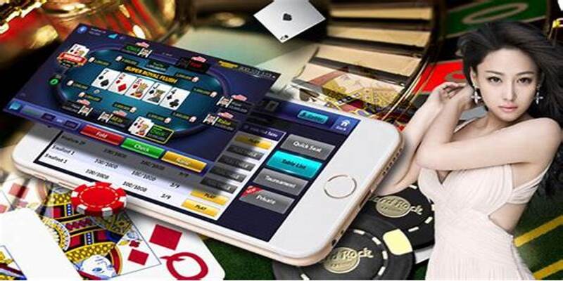 Giới thiệu nền tảng POG79