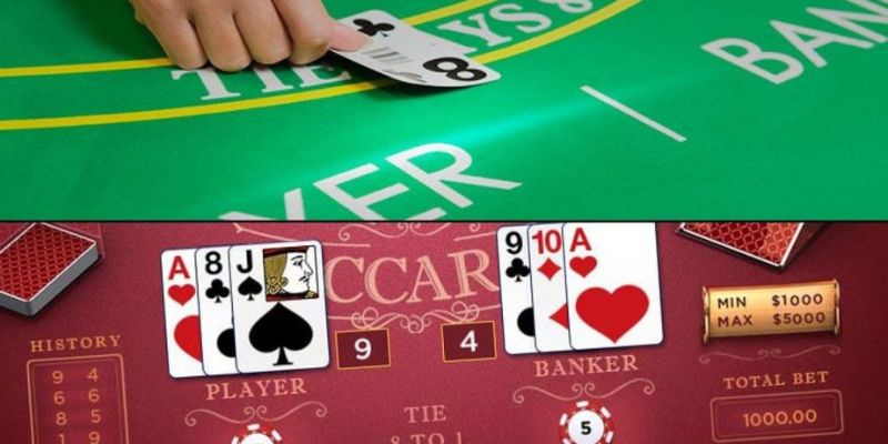 Giới thiệu tổng quan thông tin cơ bản về nhà cái BMWBET